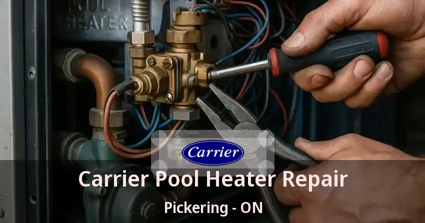 Carrier Pool Heater Repair Pickering - ON
